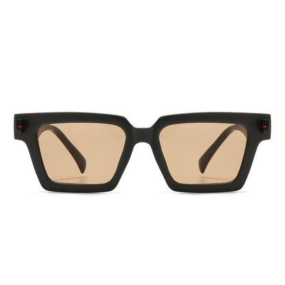 Retro-Vintage Acetate Tinted Sunglasses