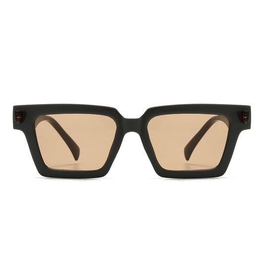 Retro-Vintage Acetate Tinted Sunglasses
